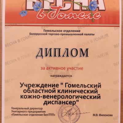 Диплом Весна в Гомеле